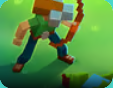 Blocky Universe