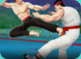 Karate Fighter