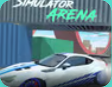 Car Simulator Arena