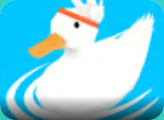 Ducklings.io
